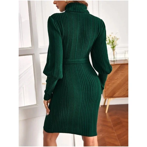 Maternity Ribbed Turtleneck Sweater Dress - Picture 5 of 13